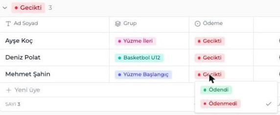 Basit Mod: tek tıkla ödeme durumunu değiştirme